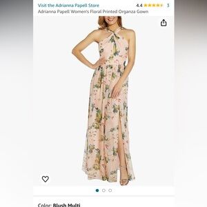 Adrianna Papell Floral Printed Organza Gown - Perfect formal gown!